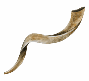 shofar